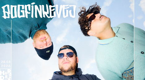 Vibrant as fuck Harders Svendborg