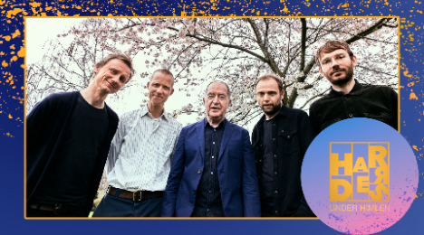 Vibrant as fuck Harders Svendborg