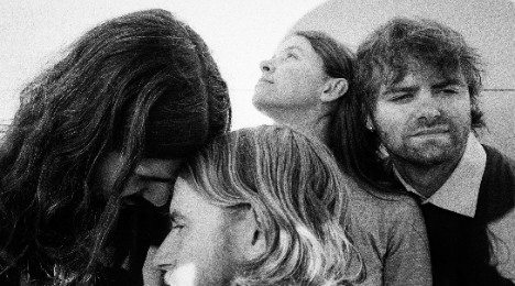 Vibrant as fuck Harders Svendborg